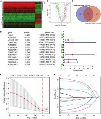 Autophagy-Related Genes and Long Noncoding RNAs Signatures as Predictive Biomarkers for Osteosarcoma Survival